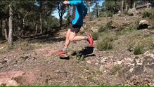 Rossignol Vezor: Modelo competición