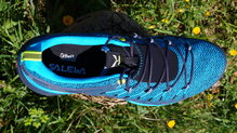 Salewa Dropline