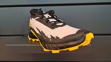 Salomon Alphacross 4