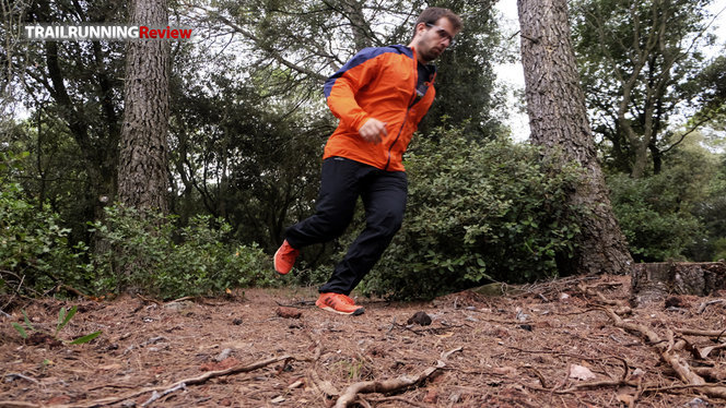 Salomon Bonatti Waterproof Pants - black | BIKE24