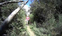 Salomon Elevate Aero Tee W en acción.
