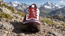 Salomon Genesis 2