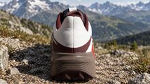 Salomon Genesis 2