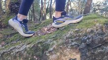 Salomon Genesis