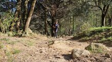 Salomon Genesis