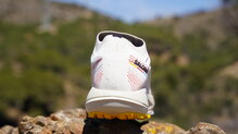 Salomon Pulsar Trail Pro 2