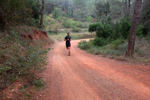 Las Salomon Pulsar Trail permiten correr a ritmos rpidos en terrenos fciles como pista forestal
