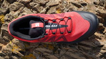 Salomon Pulsar Trail