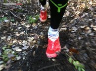 Salomon S-Lab Sense 5 Ultra: lengüeta muy fina con bolsillo para guardar los cordones