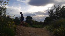 Las Salomon S-lab Sense 8 son el último eslabón de una saga ya mítica en el trail