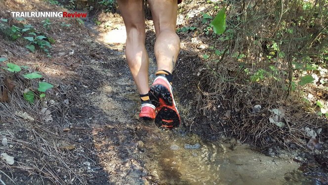 Salomon S Lab Wings 8 Softground TRAILRUNNINGReview