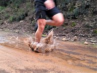 No nos importará pisotearlo todo