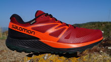 Salomon Sense Escape GTX