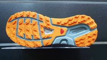 Salomon Sense Max 2