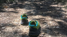 Salomon Sense Pro Max 