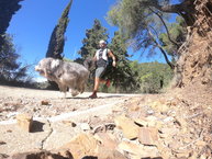 Ni el perro fue capaz de ponerse al lado de las Salomon Sense Ride GTX