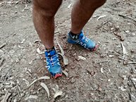 Salomon SpeedCross 4