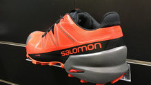 Salomon SpeedCross 5 GTX