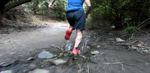 Más comodidad y estabilidad, las Salomon Speedcross 5 vuelven a sus orígenes