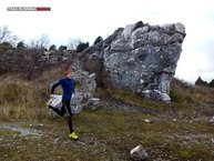 Gotland Rauks