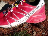 El diseo agresivo de las Salomon Speedcross Pro W ya invita a correr.