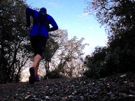 Salomon Trail Runner Warm: Hasta la prxima!