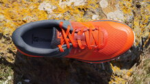 Salomon Trailster