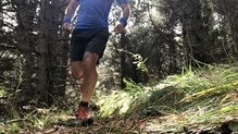 Las Salomon Trailster priman la confortabilidad a la ligereza