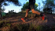 Las Salomon Trailster nos aseguran muchos kilometros de diversin 