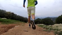 Las Salomon Vision en accin