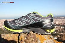 Salomon Wings Pro 2015