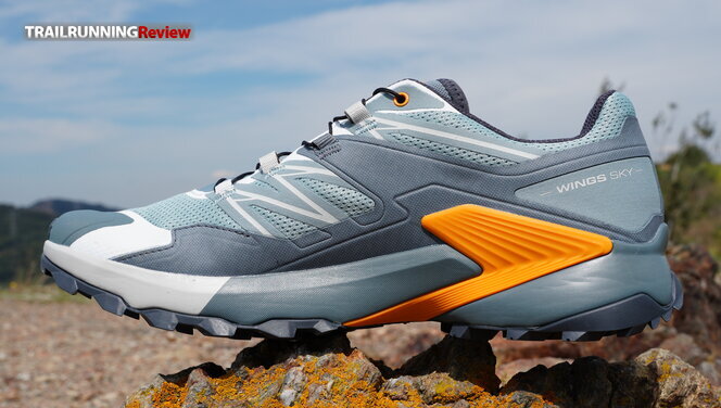 Salomon wings sky 2025 gtx