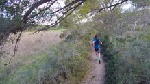 Salomon XA Elevate, ágiles.