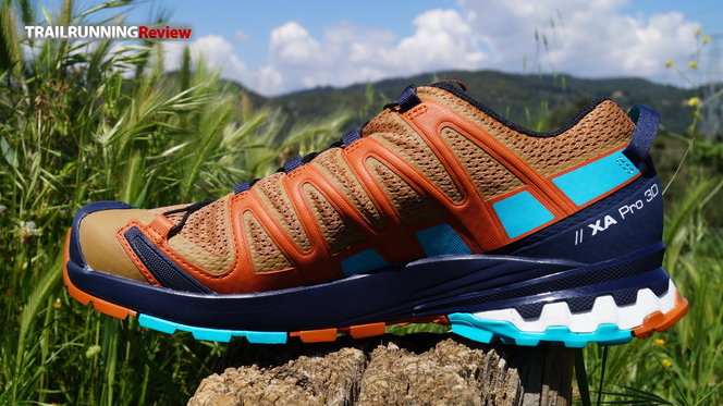 Zapatillas Trekking Salomon Hombre Venta En Línea - Salomon XA PRO 3D V8  GORE-TEX Azules