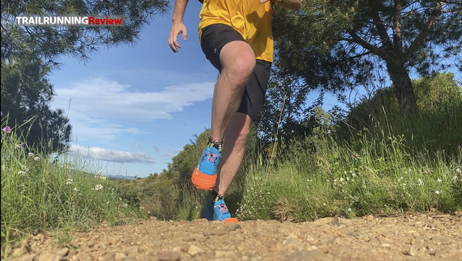 Salomon xa training short review discount