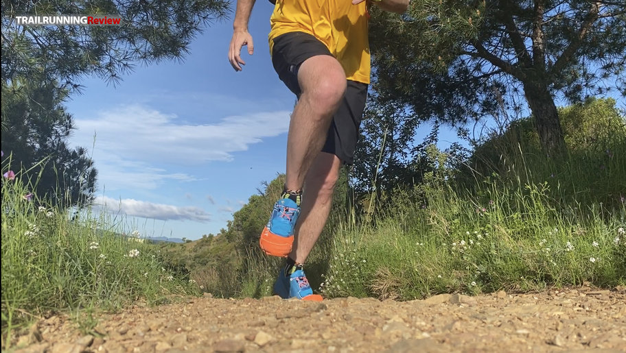 Salomon xa training short online