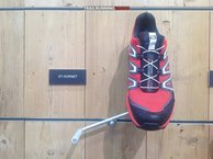 Salomon XT Hornet