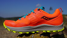 Saucony Peregrine 10