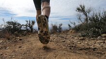 Saucony Peregrine 13, más bien para distancias medias 