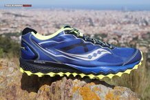 Saucony Peregrine 6