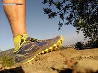 Saucony Peregrine 6: cmo responderan?