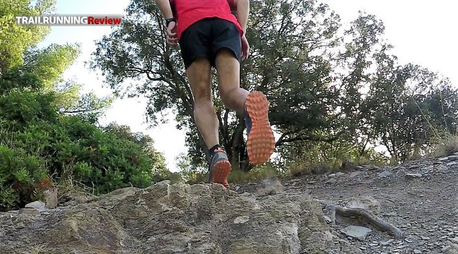 saucony peregrine 7 mujer 2016