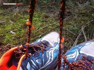 Saucony Xodus 6.0: tirones al correr campo a traves