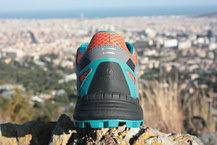 Scarpa Neutron