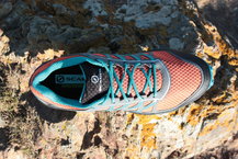Scarpa Neutron