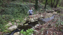 Ideales para correr por terrenos hmedos