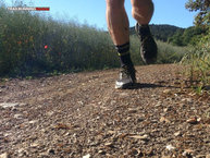 Scott Kinabalu RC_ Acabados perfectos para correr sin problemas