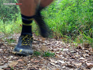 Scott Kinabalu RC_ Agarre tota en terrenos medios