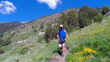 SCOTT RC, el transporte deberá ser en la mano.