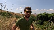 Se adaptan a las distintas intensidades de luz.